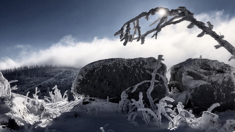 Der Böhmerwald – eine Wildnis mitten in Europa, Bild 22